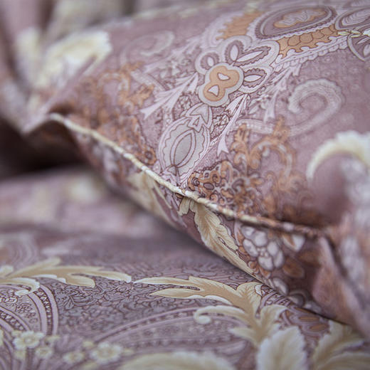 安大略狮头老白鹅绒冬被 商品图3