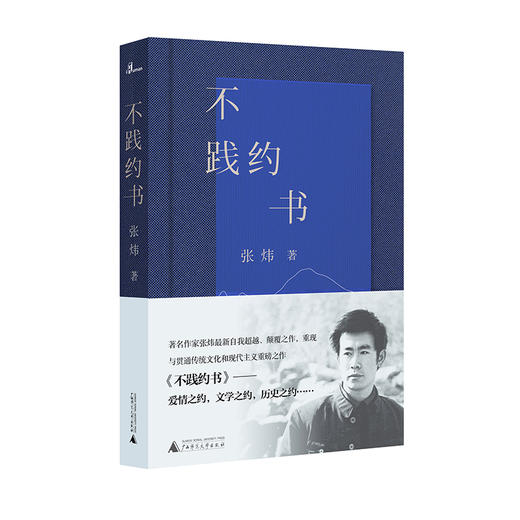 【“云端书展”专区】新民说   不践约书    张炜/著   商品图0
