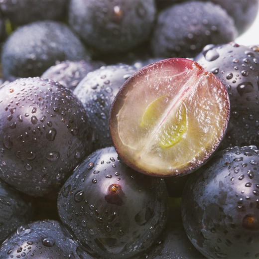 有机葡萄-巨峰	Organic Kyoho Grapes 500g/盒 商品图1