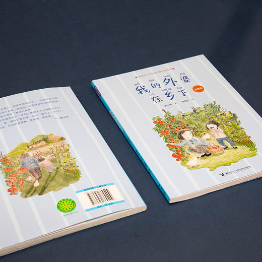 我的外婆在乡下：注音版 商品图1