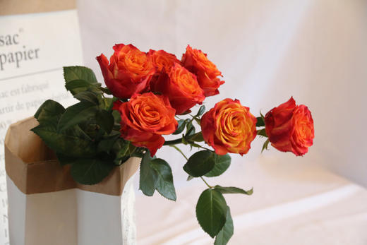 火焰玫瑰【你内心肯定有某种火焰，将你跟其他人区分开来】简小姐精选 A级新品橙红色卷边奥斯汀玫瑰 火焰 10枝 2件包邮 下单5天内发货 商品图1