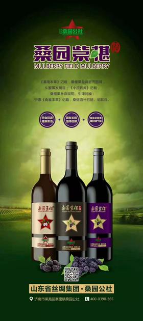 桑园紫椹干红酒