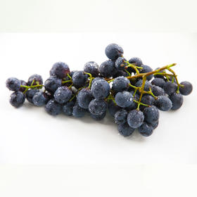澳洲黑提 Black Grapes 400g/盒