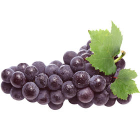 有机葡萄-巨峰	Organic Kyoho Grapes 500g/盒