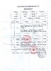 （器械号）维斯博压敏胶带1卷/盒    有效期20290204 商品缩略图3