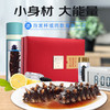 海晏堂 净干海参速发海参礼盒装20g 9头，赠泡发杯 商品缩略图1