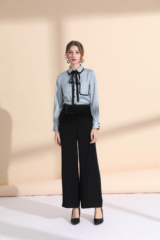 精致小翻领简约衬衣 商品图0