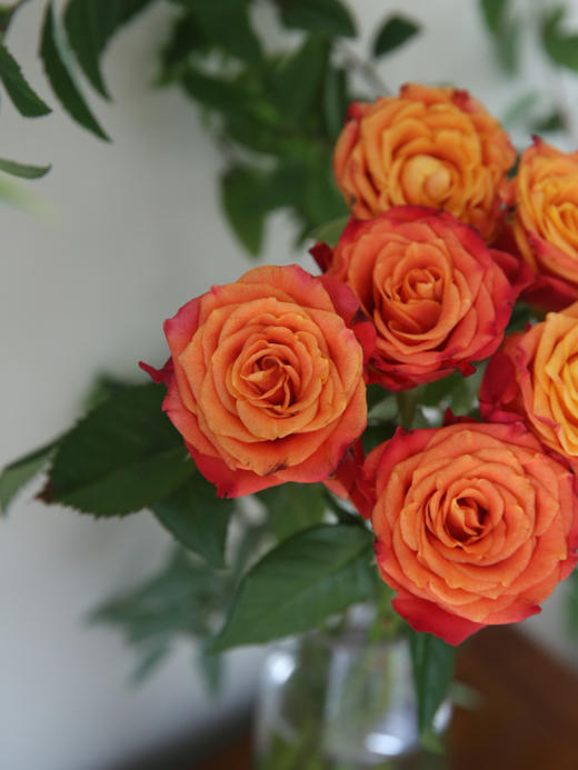 火焰玫瑰【你内心肯定有某种火焰，将你跟其他人区分开来】简小姐精选 A级新品橙红色卷边奥斯汀玫瑰 火焰 10枝 2件包邮 下单5天内发货 商品图8