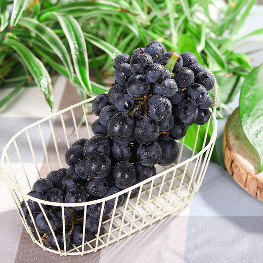 有机葡萄-夏黑	Organic Summer Black Grapes 商品图0