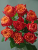 火焰玫瑰【你内心肯定有某种火焰，将你跟其他人区分开来】简小姐精选 A级新品橙红色卷边奥斯汀玫瑰 火焰 10枝 2件包邮 下单5天内发货 商品缩略图9