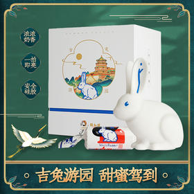 大白兔×颐和园联名文创兔子硅胶灯