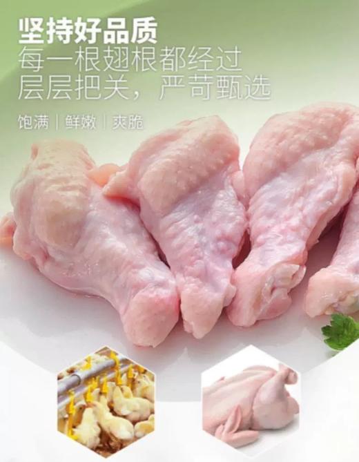 圣农单冻大鸡爪1000g+鸡翅中100g+鸡翅根1000可（大爪纯干）【九鼎鲜易达】 商品图2