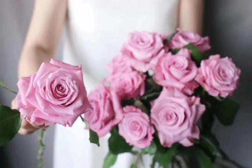 碧海玫瑰【眼里一片海，我却不肯蓝】简小姐精选 高端稀有香芋紫色玫瑰  碧海玫瑰 10枝 2件包邮 下单5天发货 商品图5