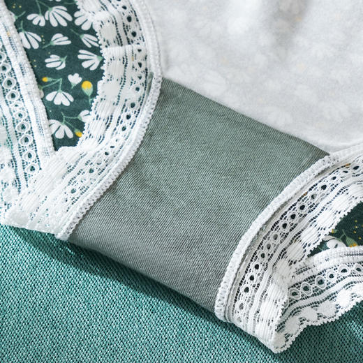 雅黛丽内裤女士低腰三角裤印花性感舒适弹力内裤4条组合装 商品图4