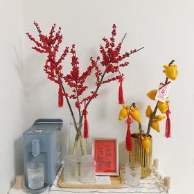 新年旺运  五代同堂果