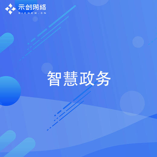 智慧政务 商品图0