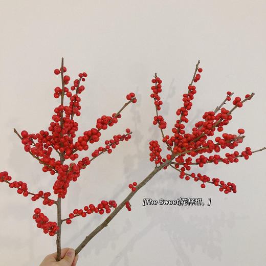 年宵红宝石  北美冬青 商品图3