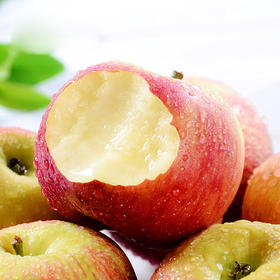 【新疆直采 西安仓发货】正宗新疆·红旗坡阿克苏冰糖心苹果 精品大果新鲜上市！