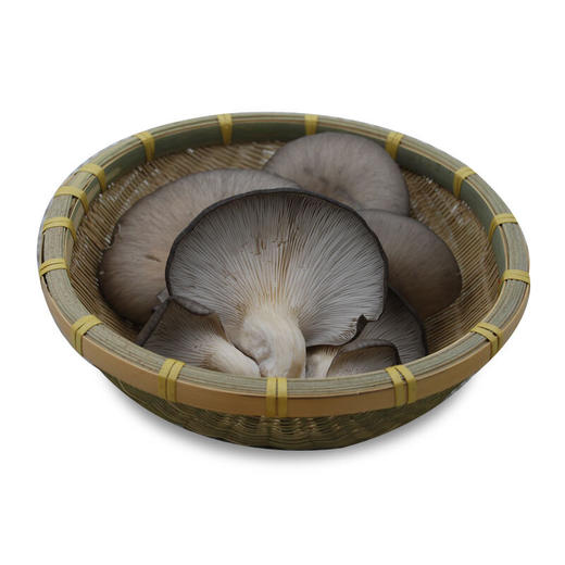 平菇 蘑菇 产地直供 新鲜蔬菜2斤装 商品图1