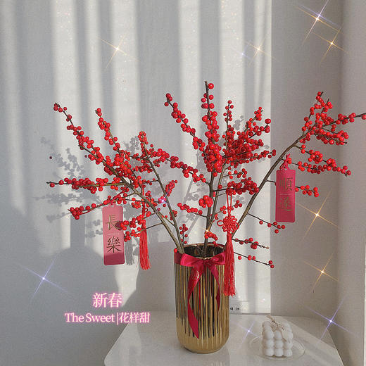 年宵红宝石  北美冬青 商品图0