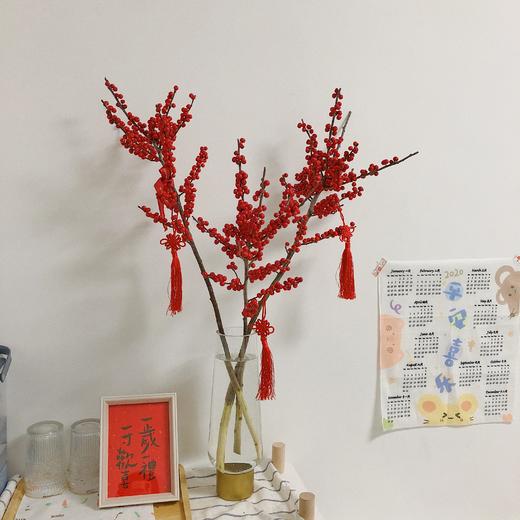 年宵红宝石  北美冬青 商品图4