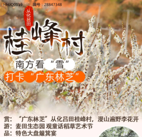 【一卡通专用】【南方看“雪”，打卡“广东林芝”】从化1天游~
