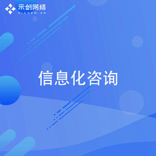 信息化咨询 商品图0