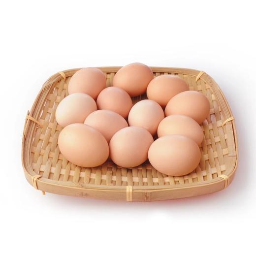 【门店】螺旋藻鸡蛋 （普通装30枚）仅限门店自提 商品图0