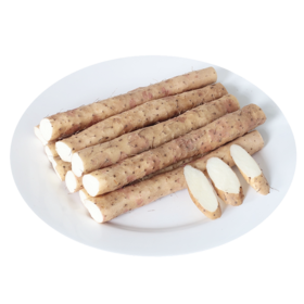 山药 Chinese Yam