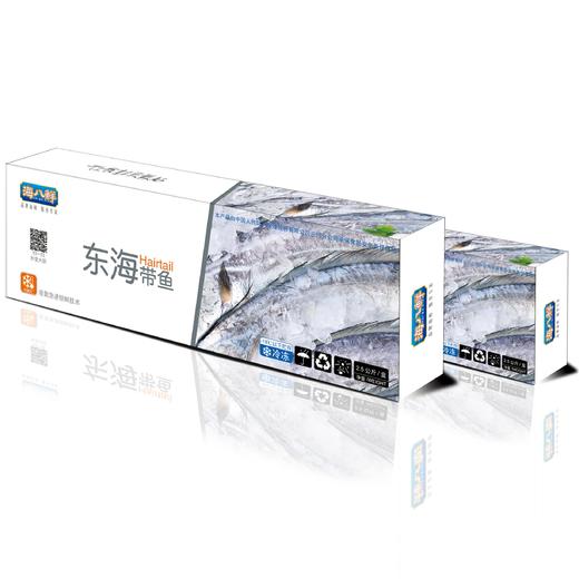 【顺丰直发】海八鲜 东海精品舟山带鱼 5斤装 商品图0