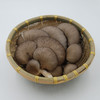 平菇 蘑菇 产地直供 新鲜蔬菜5斤装 商品缩略图0