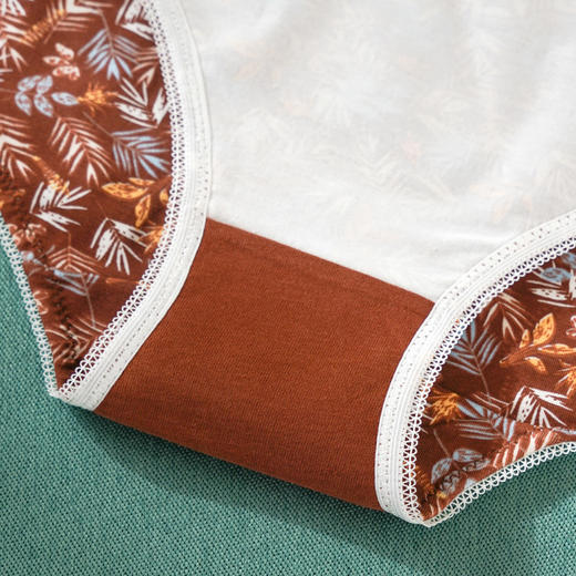 雅黛丽女士内裤中腰三角裤纯棉底裆透气舒适性感4条装底裤 商品图4