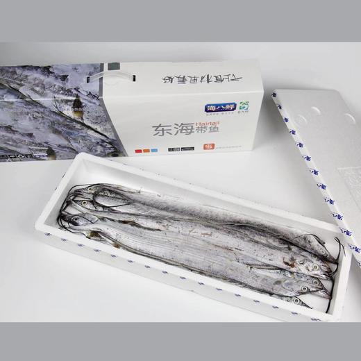 【顺丰直发】海八鲜 东海精品舟山带鱼 5斤装 商品图2