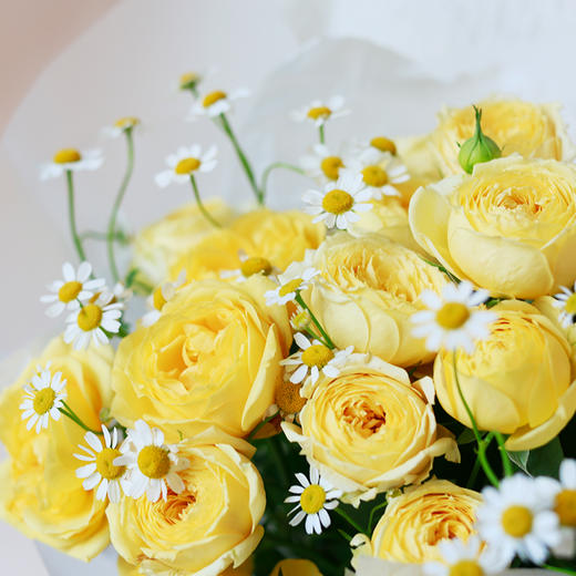 「满园春色」花束 商品图1