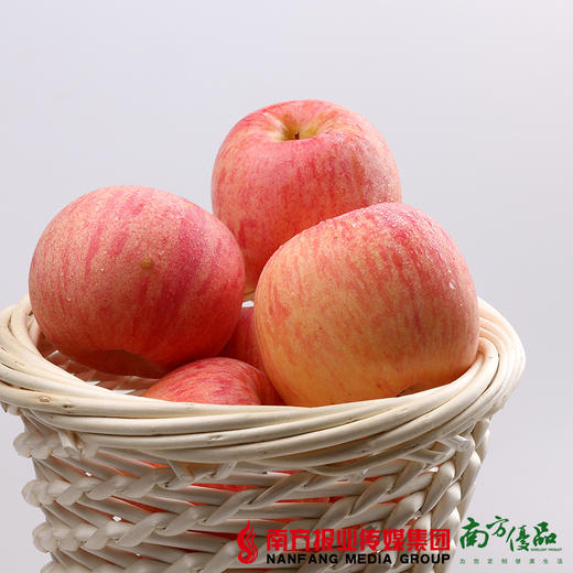 【珠三角包邮】洛川苹果 80# 10斤±3两/箱（2月5日到货） 商品图2
