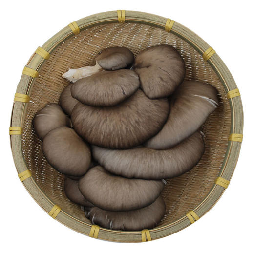 平菇 蘑菇 产地直供 新鲜蔬菜2斤装 商品图0