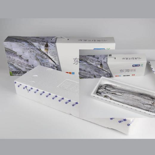 【顺丰直发】海八鲜 东海精品舟山带鱼 5斤装 商品图1