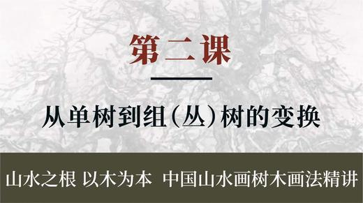 第二课- 从单树到组（丛）树的变换 | 朱永成老师 商品图0