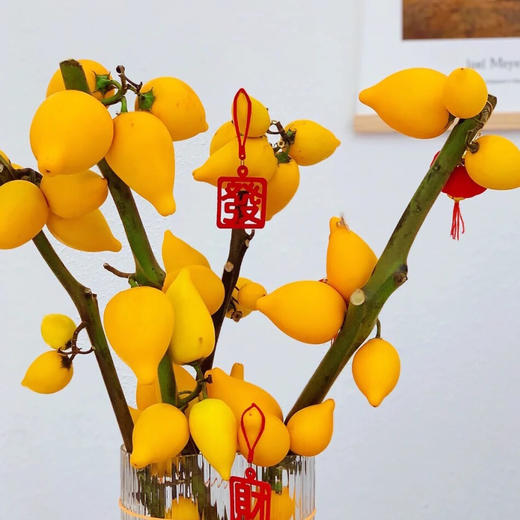 新年旺运  五代同堂果 商品图1