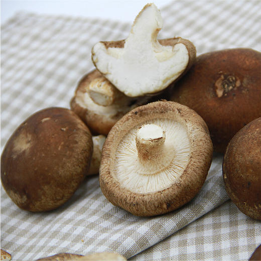 香菇 蘑菇 约 产地直供 新鲜蔬菜 5斤装 商品图2