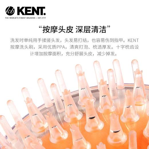 英国原装进口kent软胶洗发梳，疏通经络，按摩头皮不伤发！ 商品图2