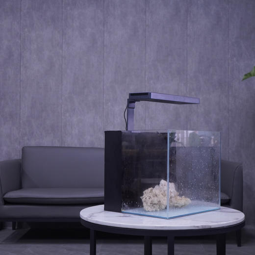 超白背滤海水缸珊瑚缸客厅办公室水族箱生态缸 商品图3