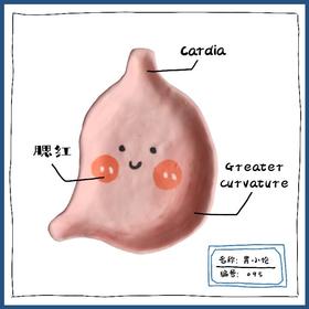七口『可爱的器官“胃小饱” 』 ｜手绘软陶首饰盘