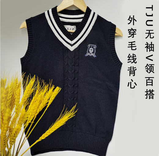 天津大学毛衣2023新款学院风v领马甲背心针织复古港味韩版 商品图0
