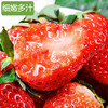 久久草莓3斤左右 一箱 商品缩略图2