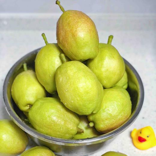 【大大的香梨】新疆库尔勒香梨 酥脆好吃，水分足，清喉润肺，当季最具性价比的好梨子！ 商品图5