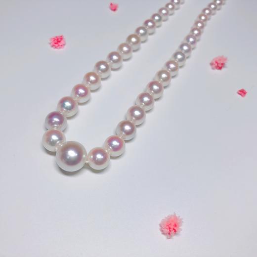 「节奏」3.5-9.5mm渐变 Akoya珍珠项链全圆强光樱花粉Akoya珍珠 商品图2
