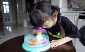 春天来了，提上科学罐头动物观察桶，带娃观察神奇的自然 世界