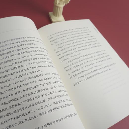 约翰·多恩诗歌批评本 十九首世界诗歌批评本丛书 陆风著 文学评论 商品图3