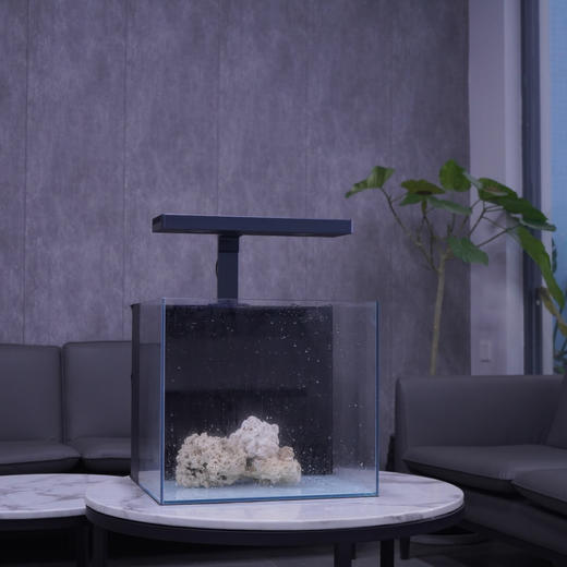 超白背滤海水缸珊瑚缸客厅办公室水族箱生态缸 商品图2